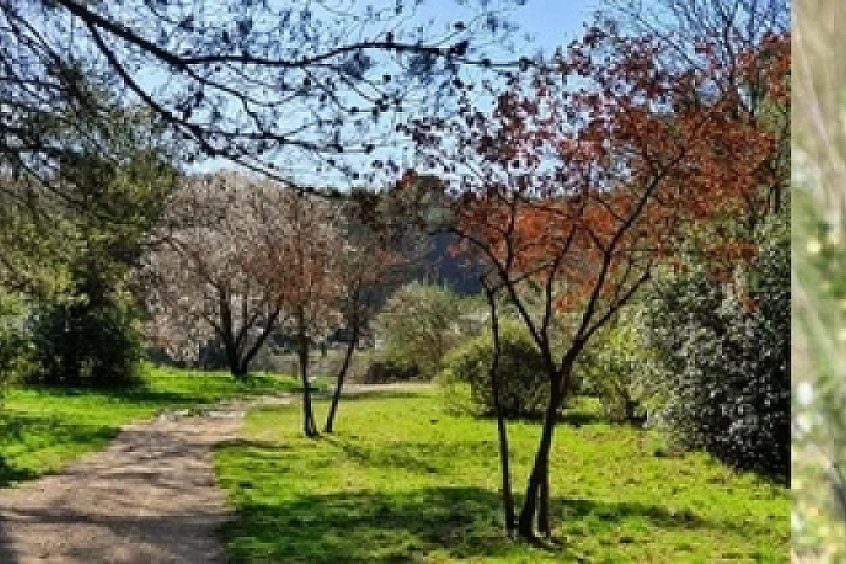Balade botanique au domaine de la Font de Mai dans le Garlaban 