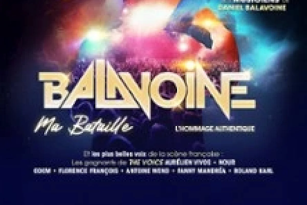 Balavoine, Ma Bataille - Tournée