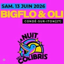 Bigflo et Oli - Festival  La Nuit des Colibris