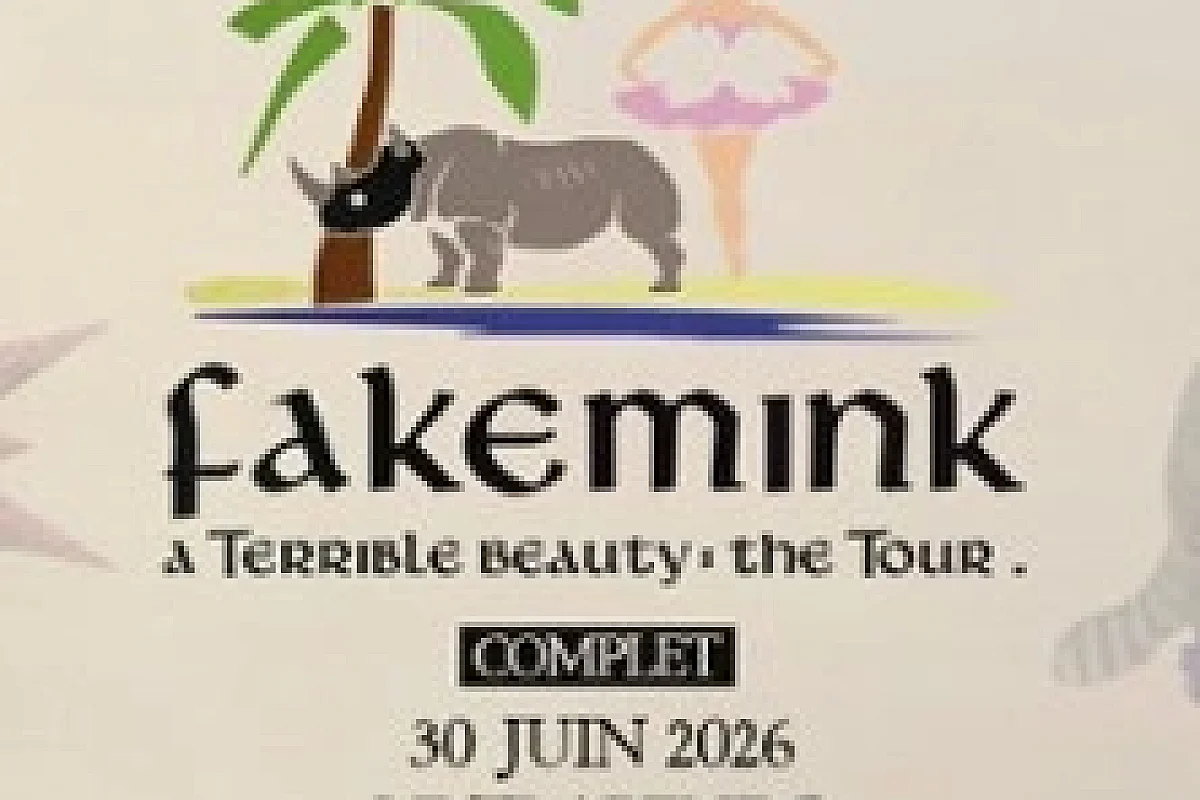 Fakemink