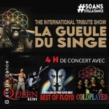 QUEEN ALIVE - BESTOF FLOYD - COLDPLAYED
