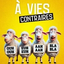 A Vie Contraire - Café-Théâtre Les 3T d'A Côté, Toulouse