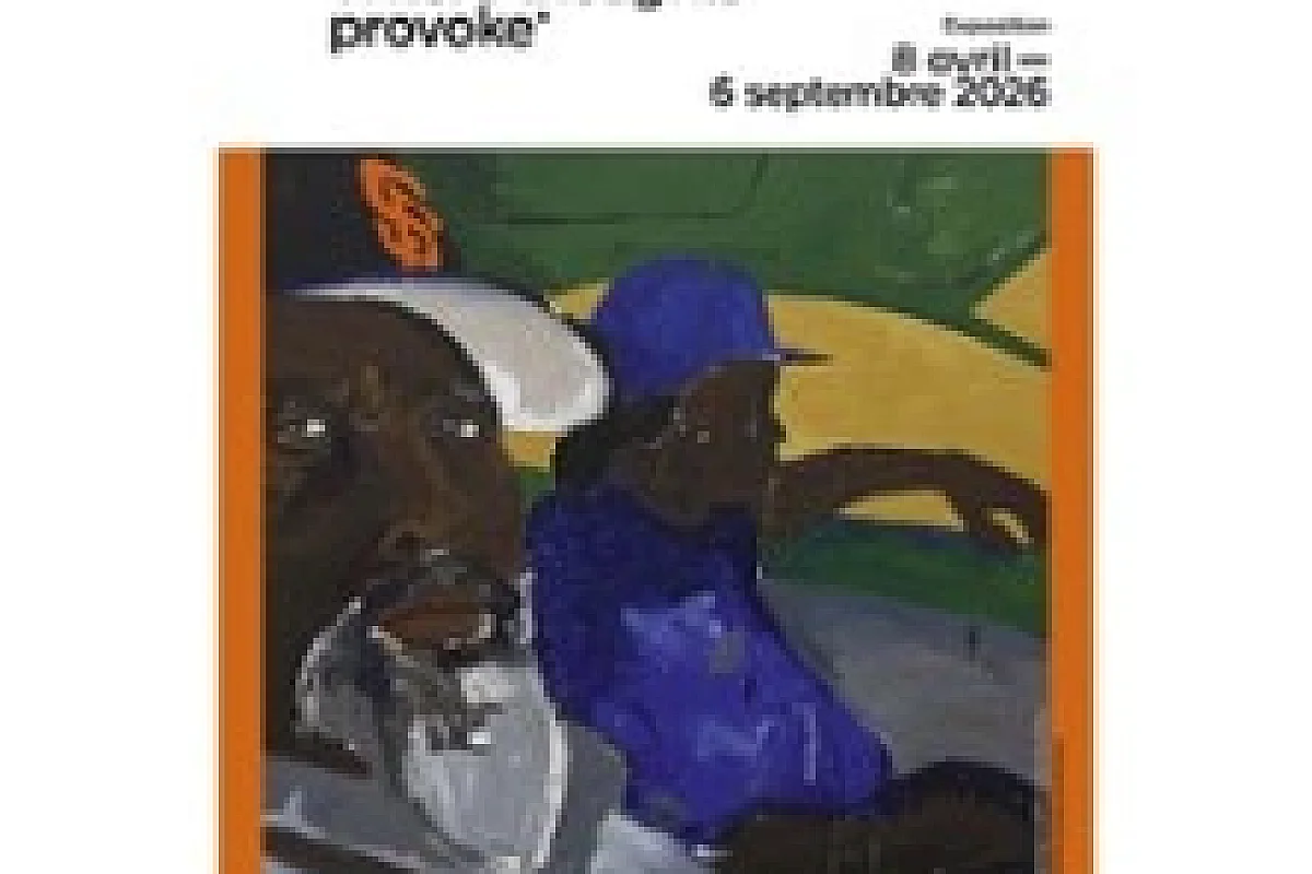 Billet Musée Picasso-Paris - Exposition Henry Taylor