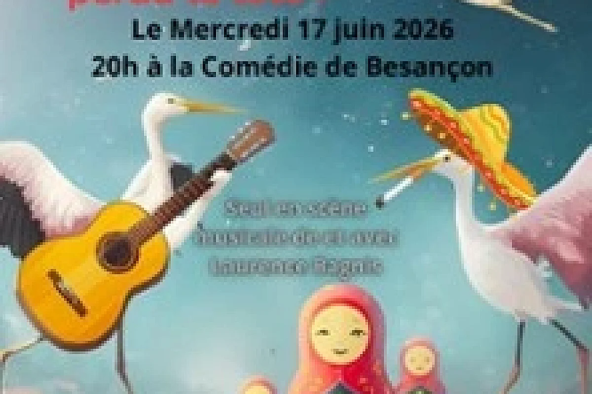 Les Cigognes Ont Perdu la Tête