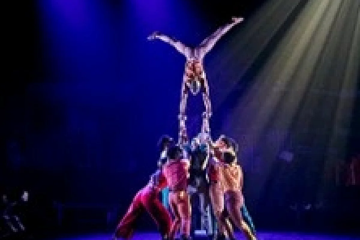 Moya - Zip Zap Circus