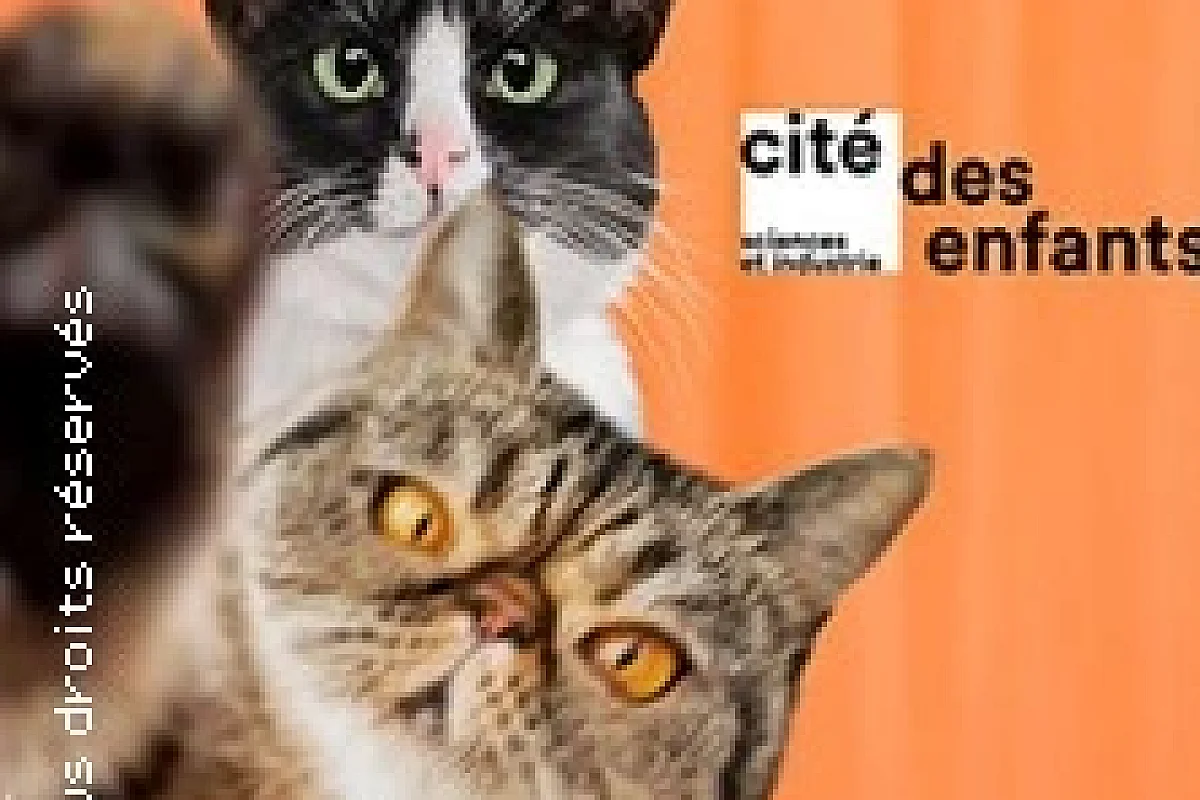 Cité des Enfants 5-10 ans