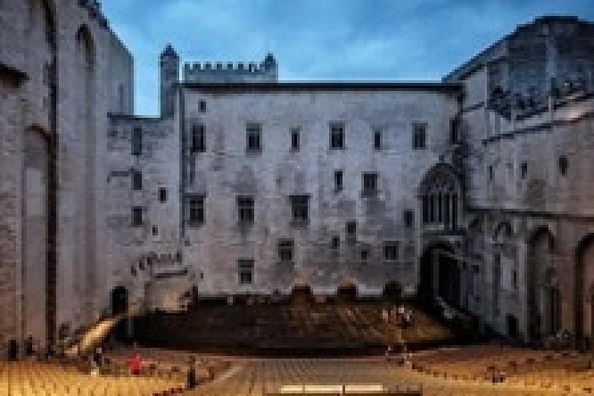Oiseau - Festival d'Avignon