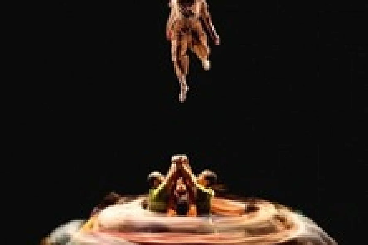 Le Pas du Monde - Festival d'Avignon