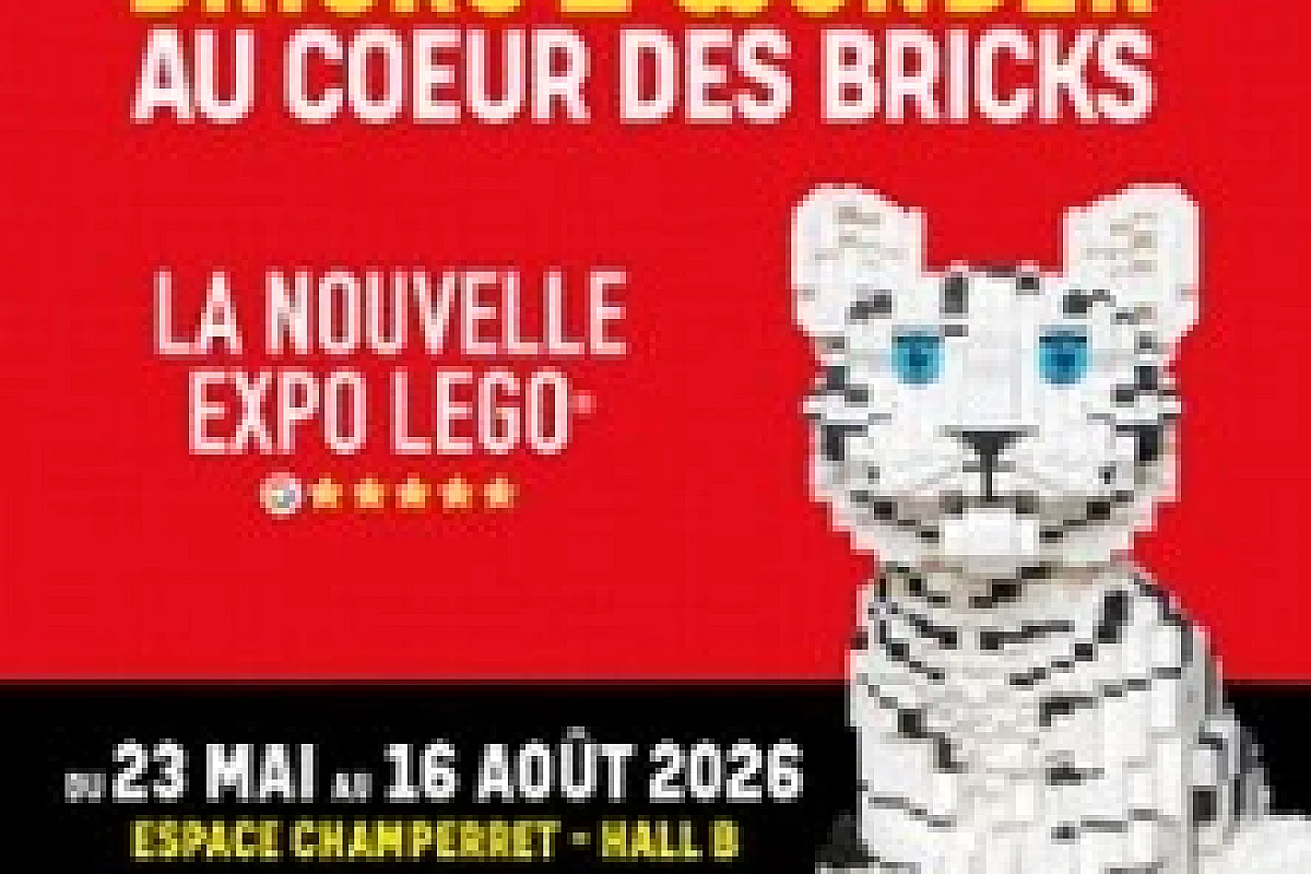 Bricks of Wonder - Au Coeur des Bricks