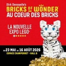 Bricks of Wonder - Au Coeur des Bricks