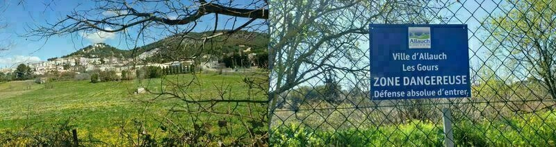 Campagne allaudienne autour des mystérieux gours bleus : oliveraie, 