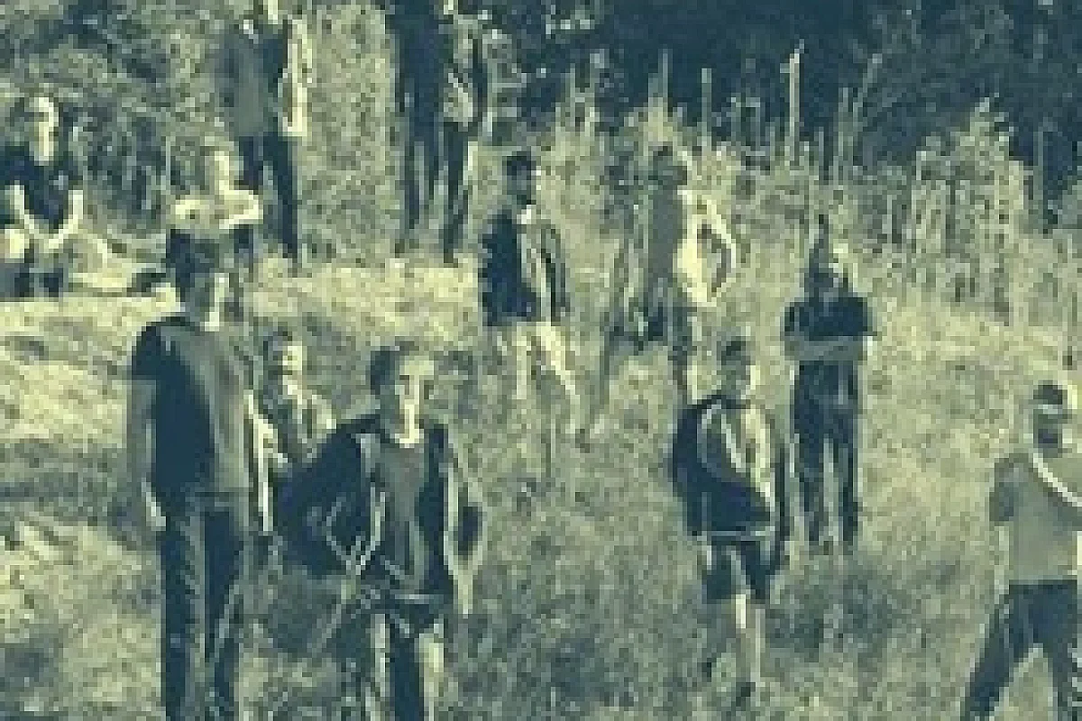 La Colonie de Vacances