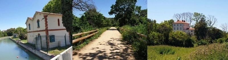 Rando avec Marianne "Le Merlan côté campagne" : Canal de Marseille, 