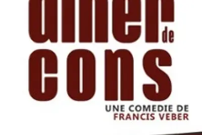 Le Dîner de Cons (Tournée)