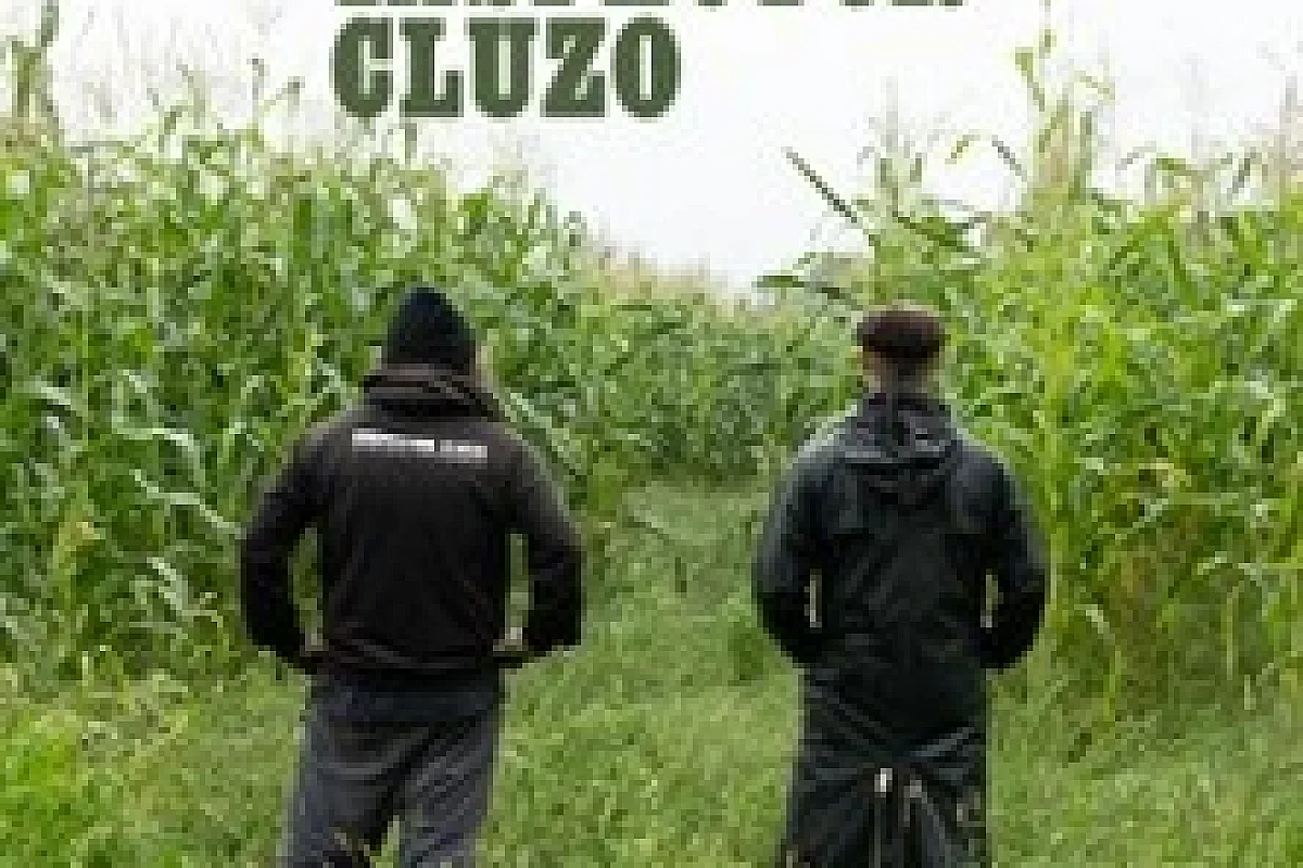 The Inspector Cluzo