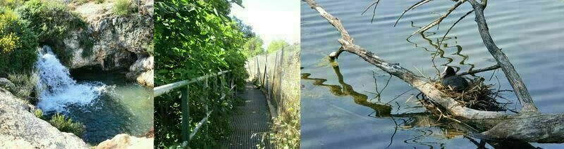 Balade au bord de l'eau à Vitrolles : tour du lac de la Tuilière, rivière la Cadière 
