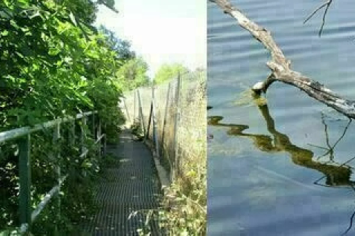 Balade au bord de l'eau à Vitrolles : tour du lac de la Tuilière, rivière la Cadière 
