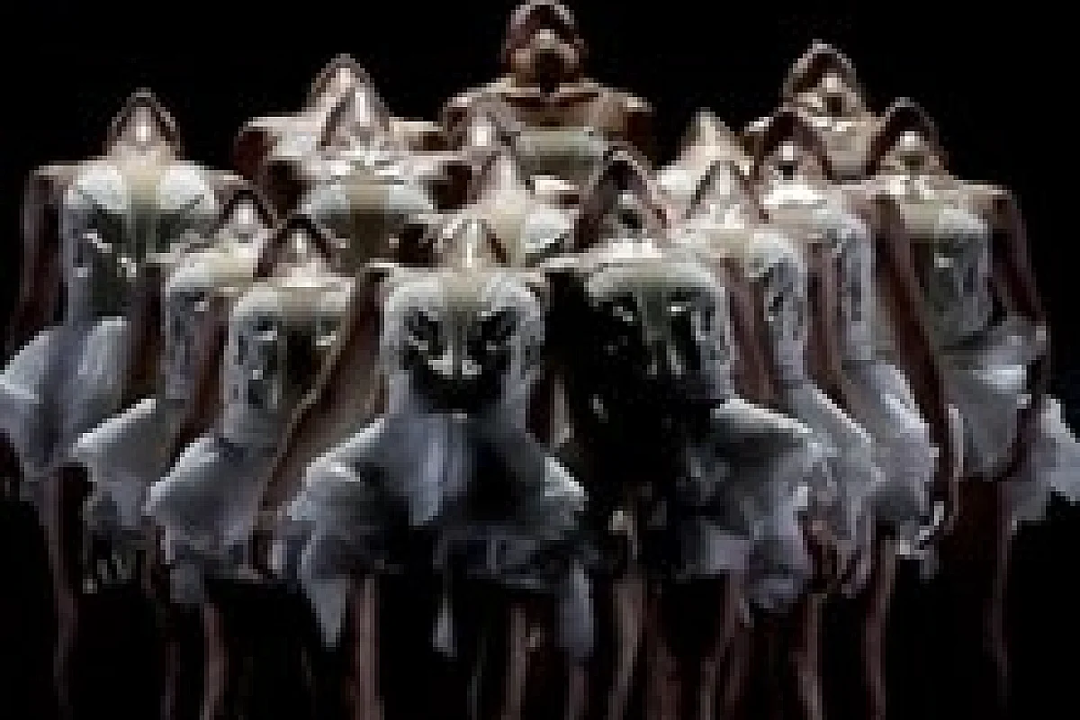Le Lac des Cygnes - Ballet Preljocaj - La Seine Musicale