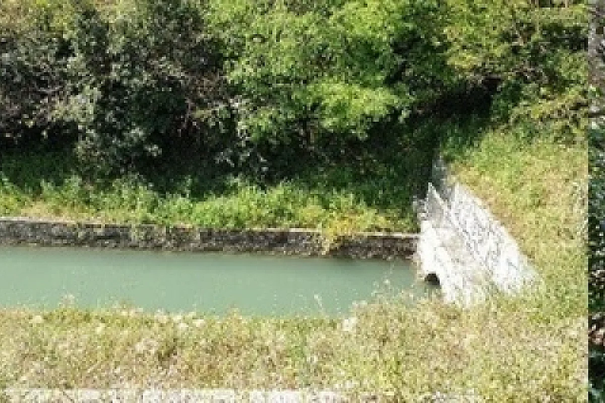 Rando facile "traverses méconnues en limite de La Valentine : Roquepin,