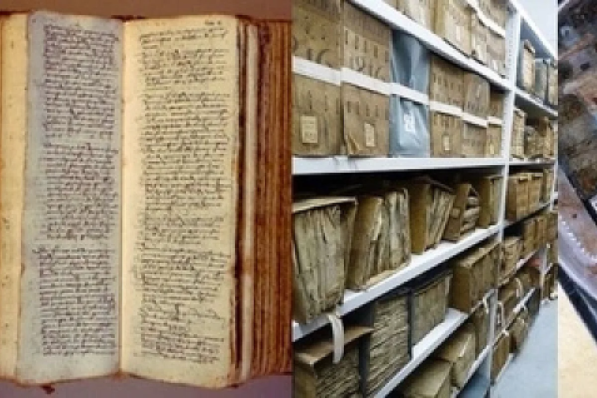 Visite des fonds rares et précieux de la BMVR Alcazar et des livres d'artistes :