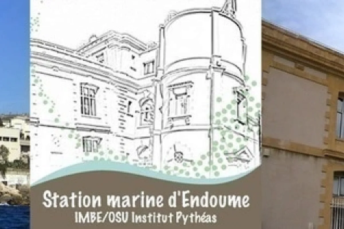 Conférence à la Station Marine d'Endoume : "Interactions