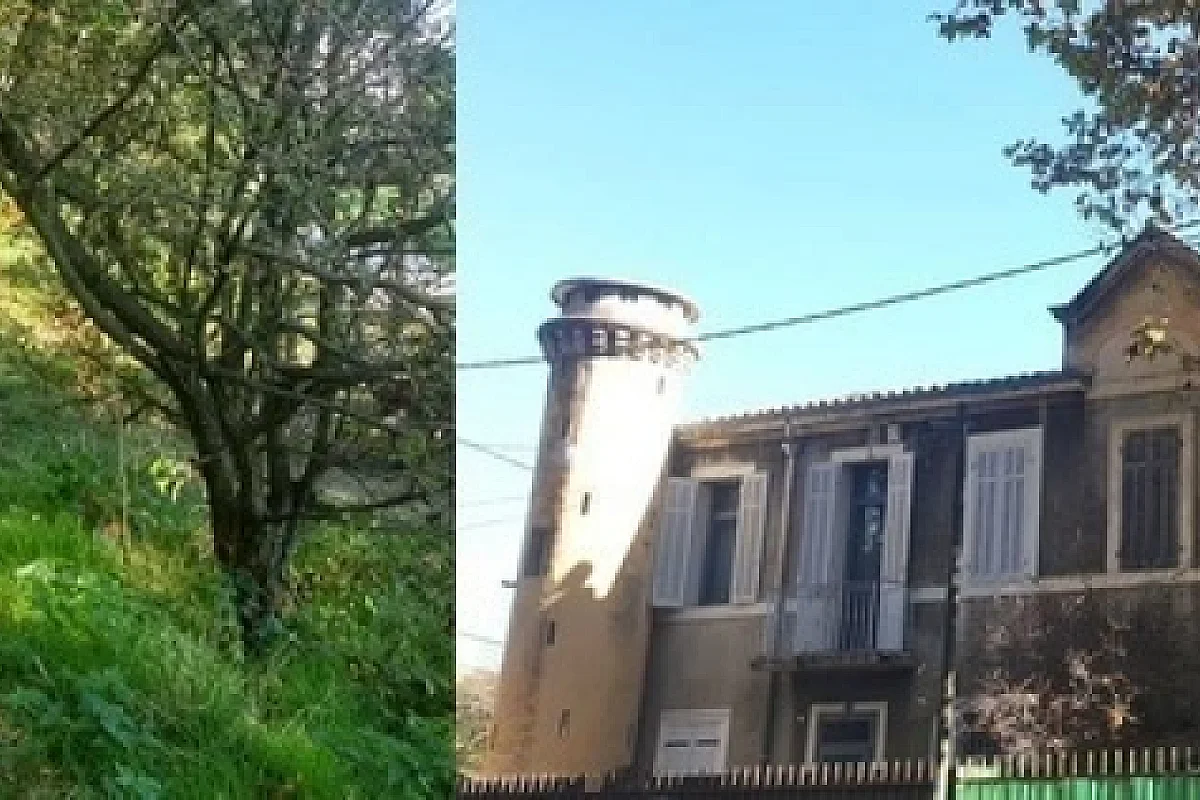 Rando racontée : Vallon Vert, La Pounche, parc du Bocage, 