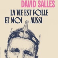 David Salles - La Vie est Folle et Moi Aussi