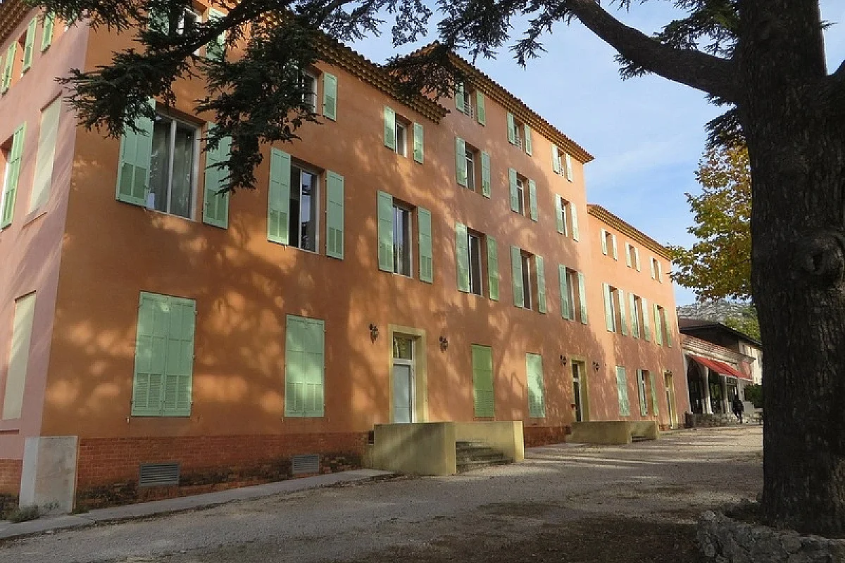 Image 5