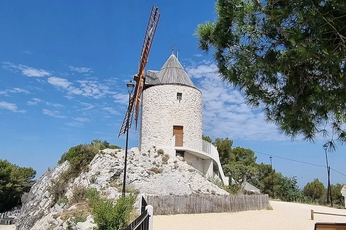 Image 4