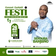 Festi Environnement - Concert Caritatif
