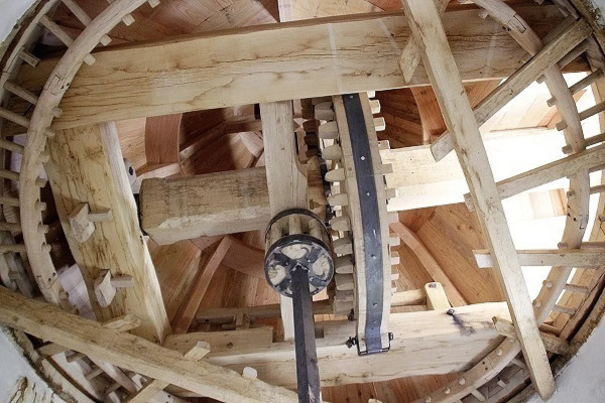 Image 4