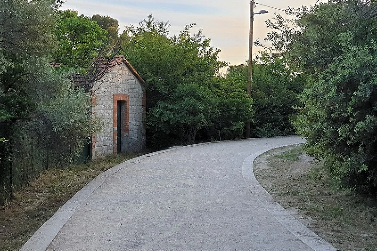 Image 6