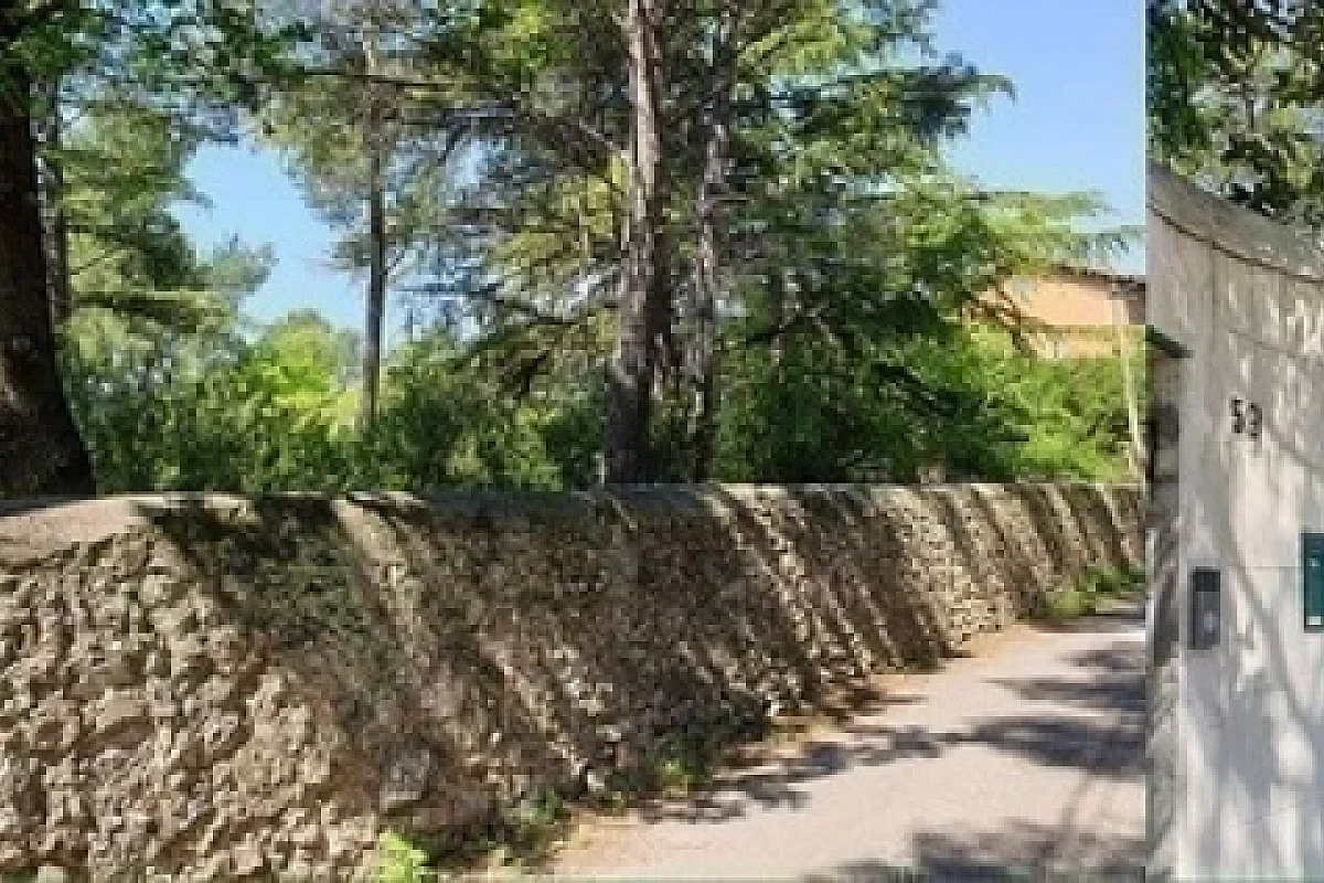 Image 6