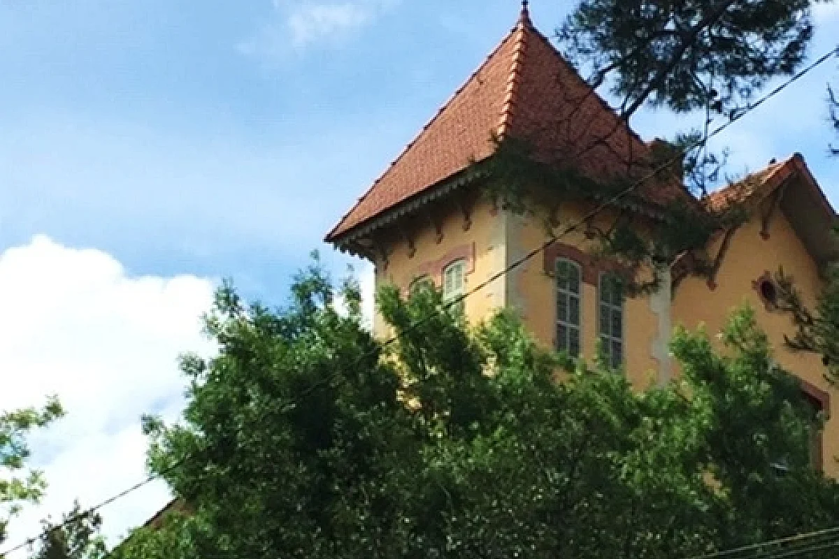 Image 3