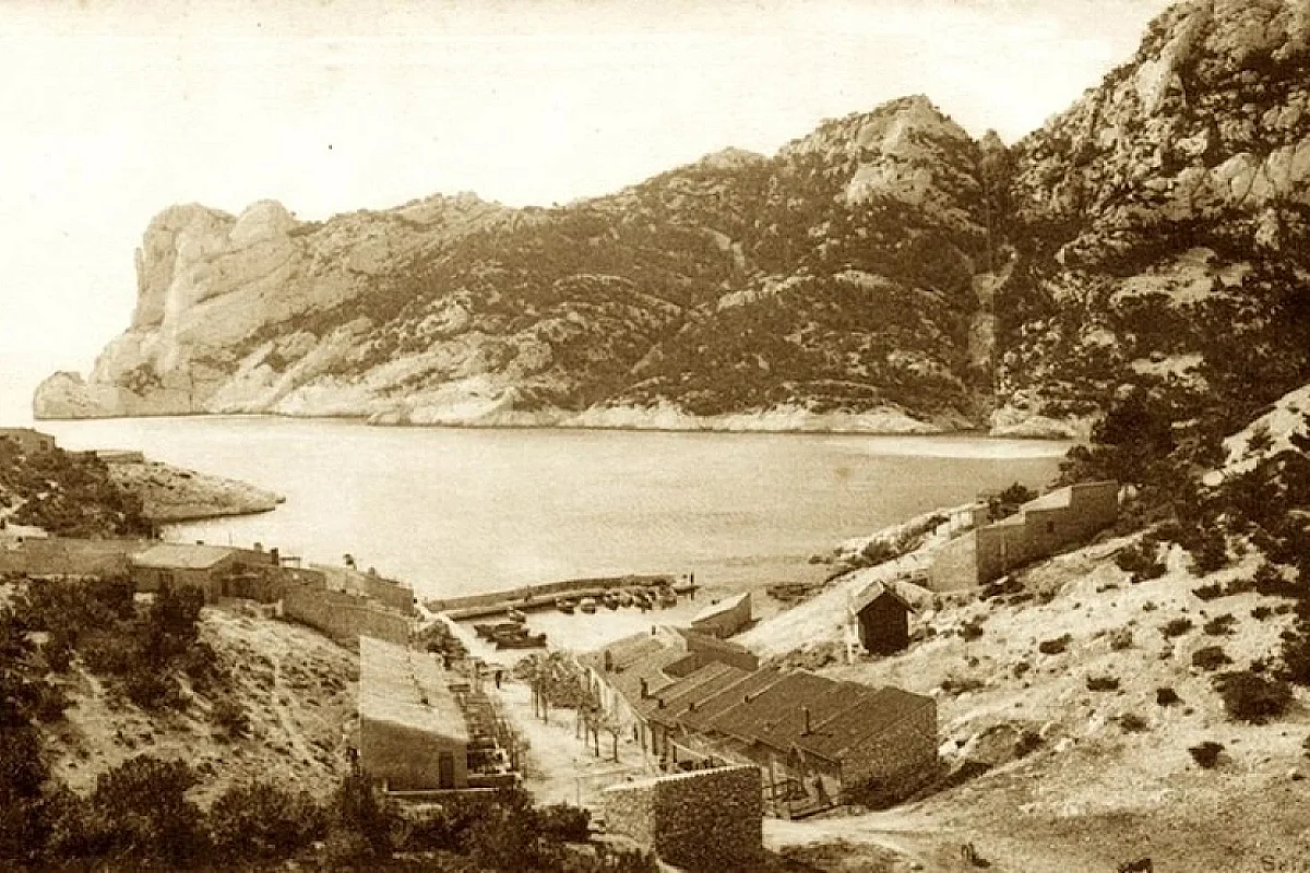 Image 5