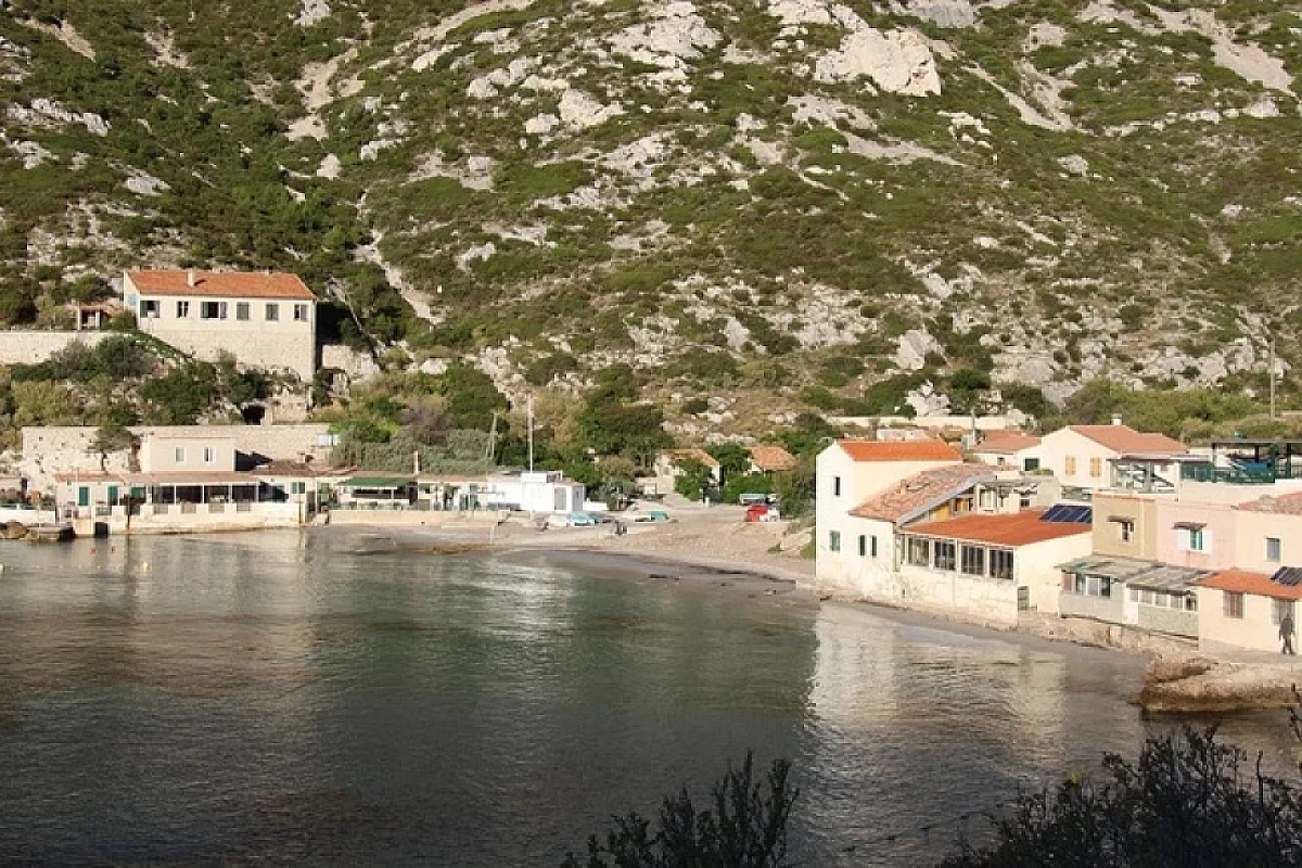 Image 6