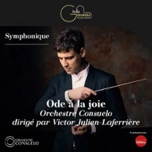 Ôde à la Joie - Symphonie n° 9 de Beethoven