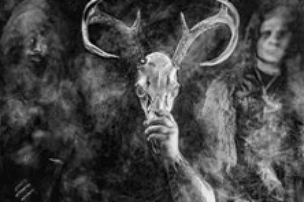 Wolves In The Throne Room