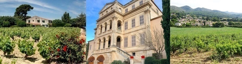 Randonnée racontée facile aux portes de Marseille "Vignes Brémont, 