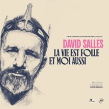David Salles - La Vie est Folle et Moi Aussi