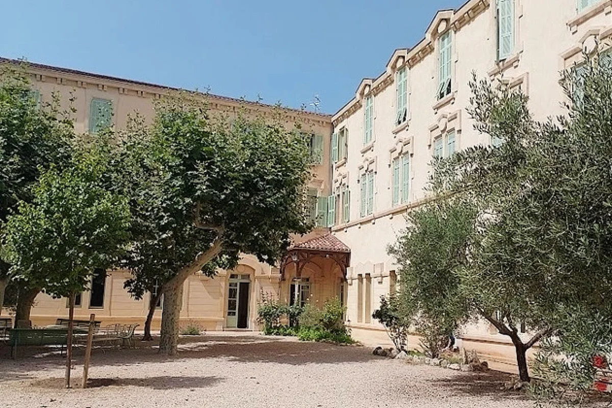 Image 4