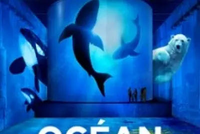 Bassins des Lumières - Expostions Océan + Cube avec Greenpeace