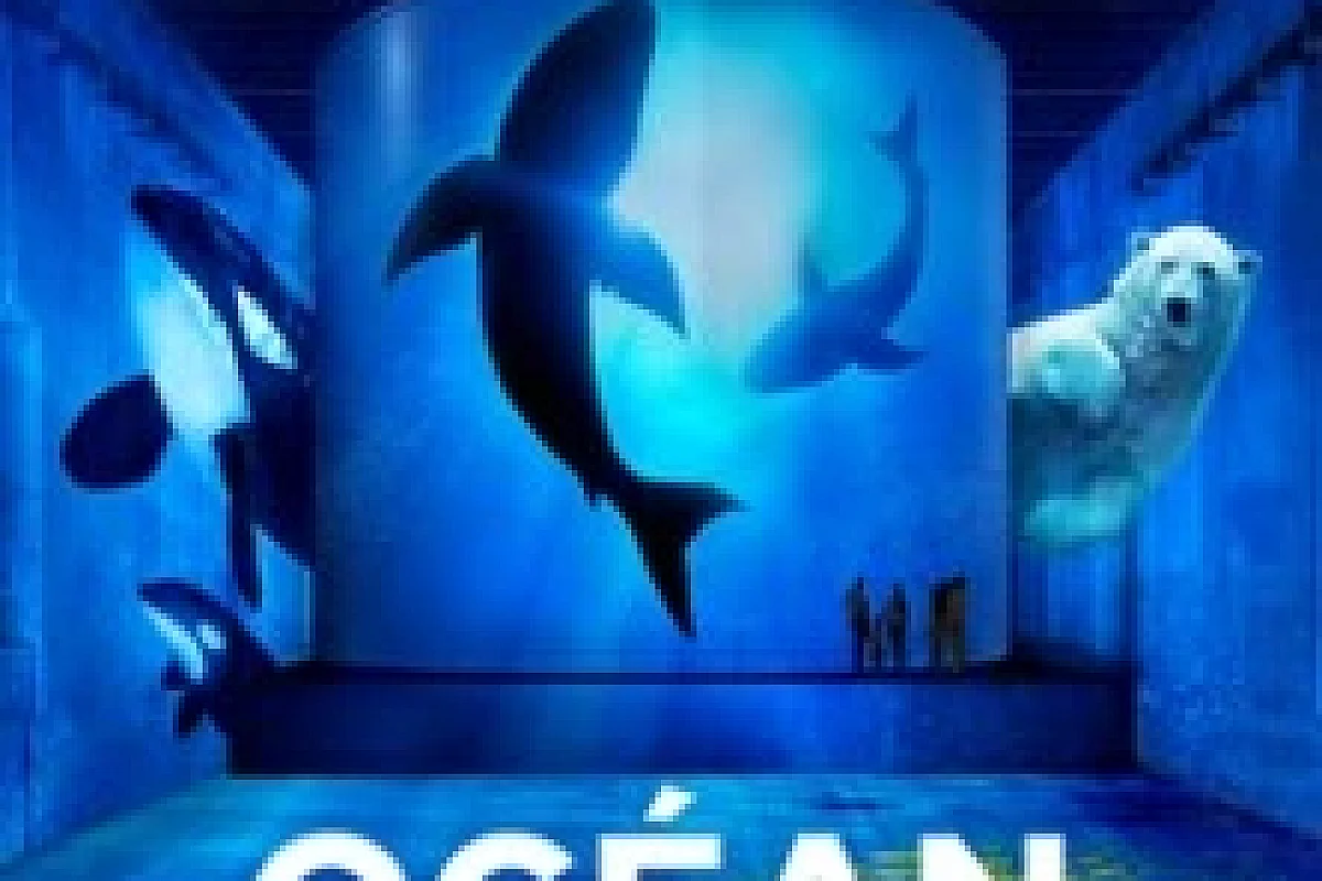 Bassins des Lumières - Expostions Océan + Cube avec Greenpeace