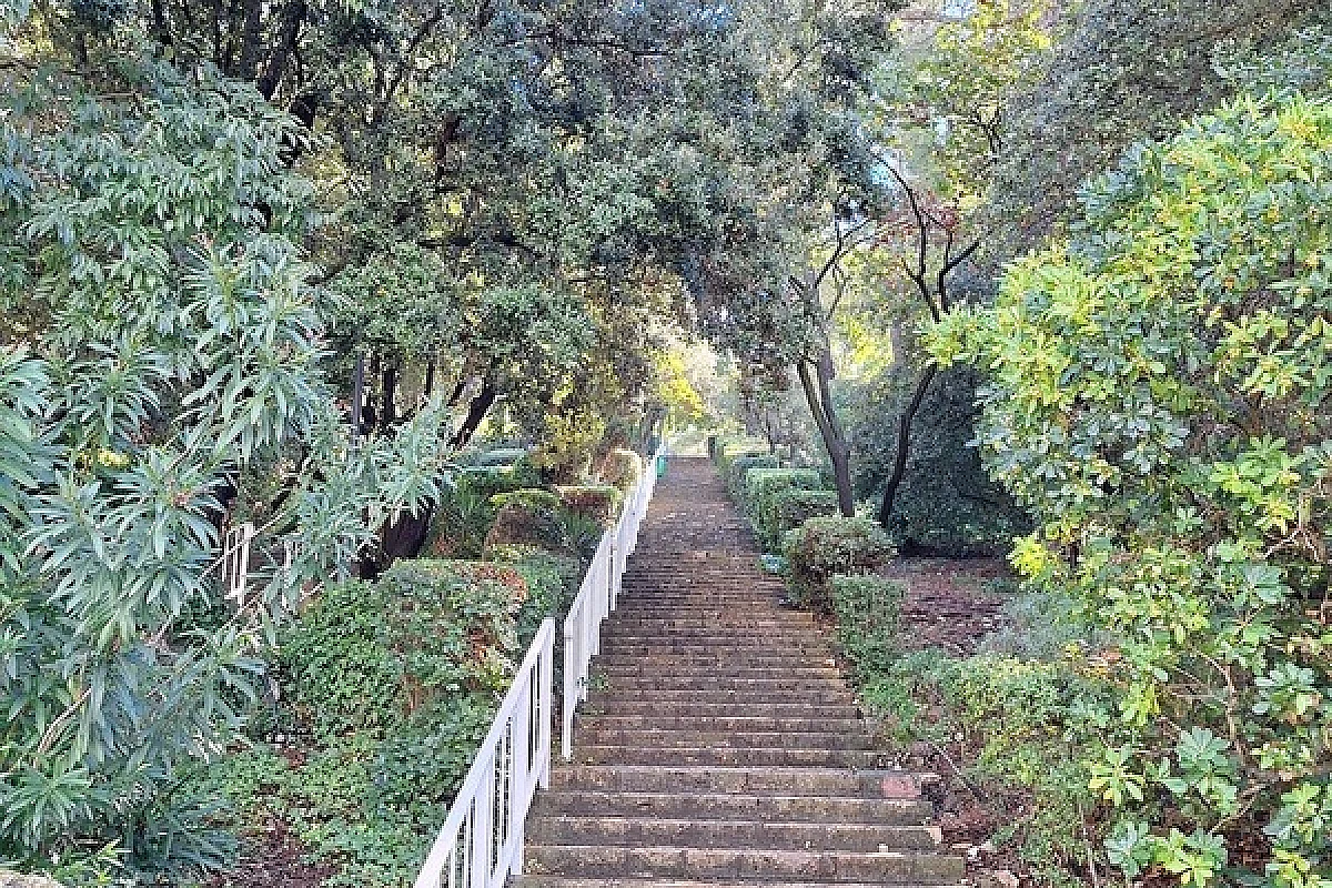 Image 8
