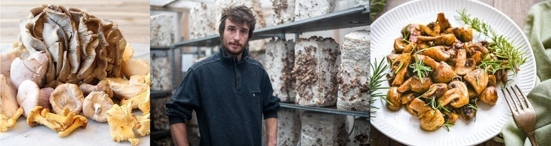 "La culture de champignons en ville" : visite, explications et atelier interactif 