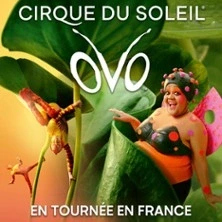 Ovo - Cirque du Soleil - Adidas Arena, Paris
