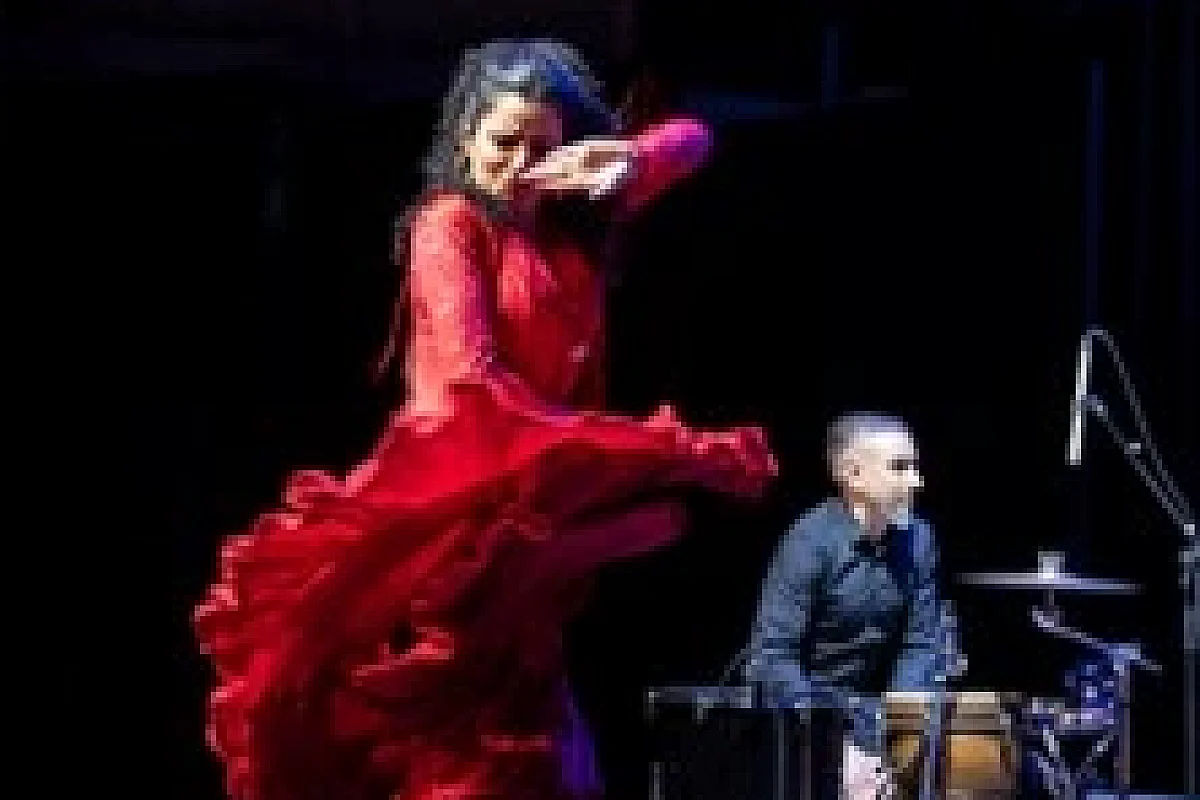 Ana Crisman, Arpa Flamenca - Théâtre du Chêne Noir, Avignon