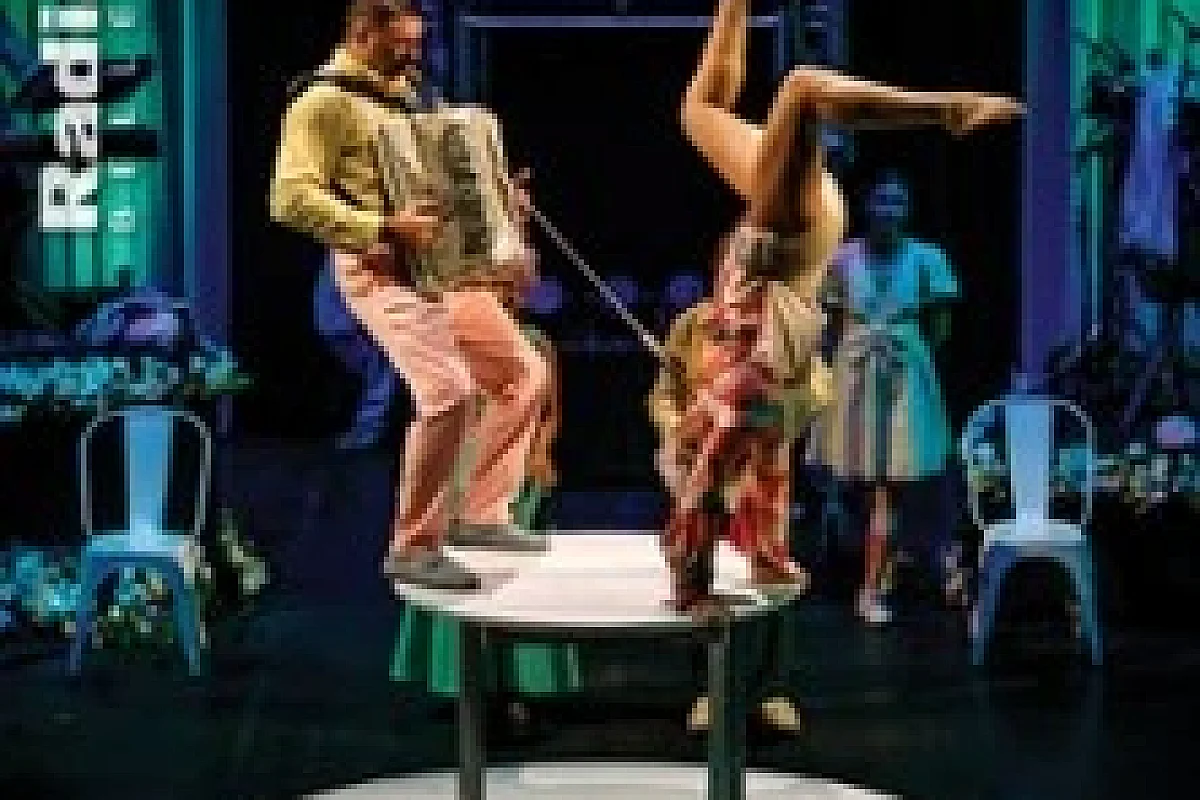 La Noce d'Alfonse - Cirque Alfonse - Le Radiant - Caluire