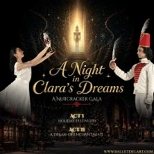 A Nigt In Clara's Dream