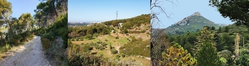 Petite rando racontée du matin autour du Vallon d'Aubergue, 